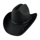 Chapeaux de Cowboy