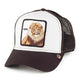 Casquettes Trucker